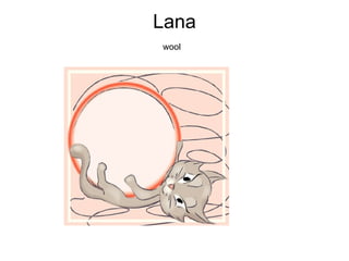 Lana wool   