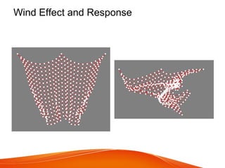 Wind Effect and Response
 
