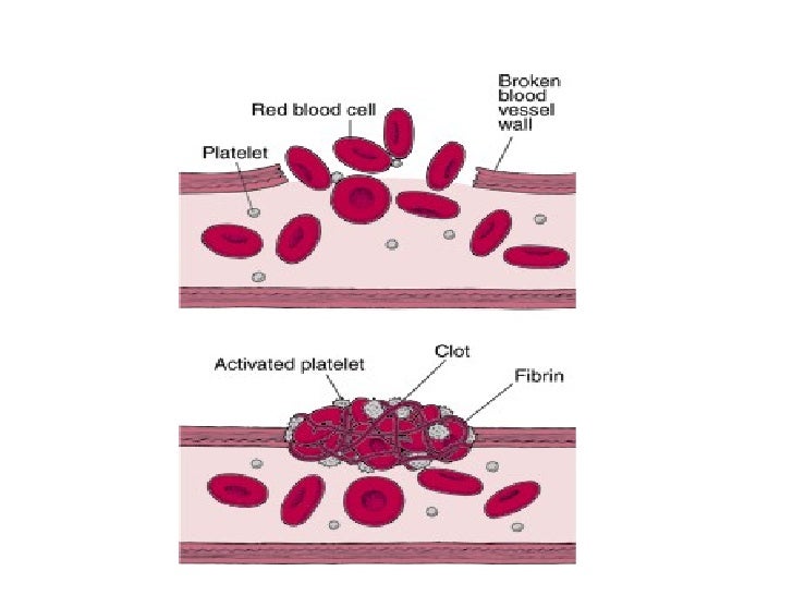 Blood clotting AS OCR F221