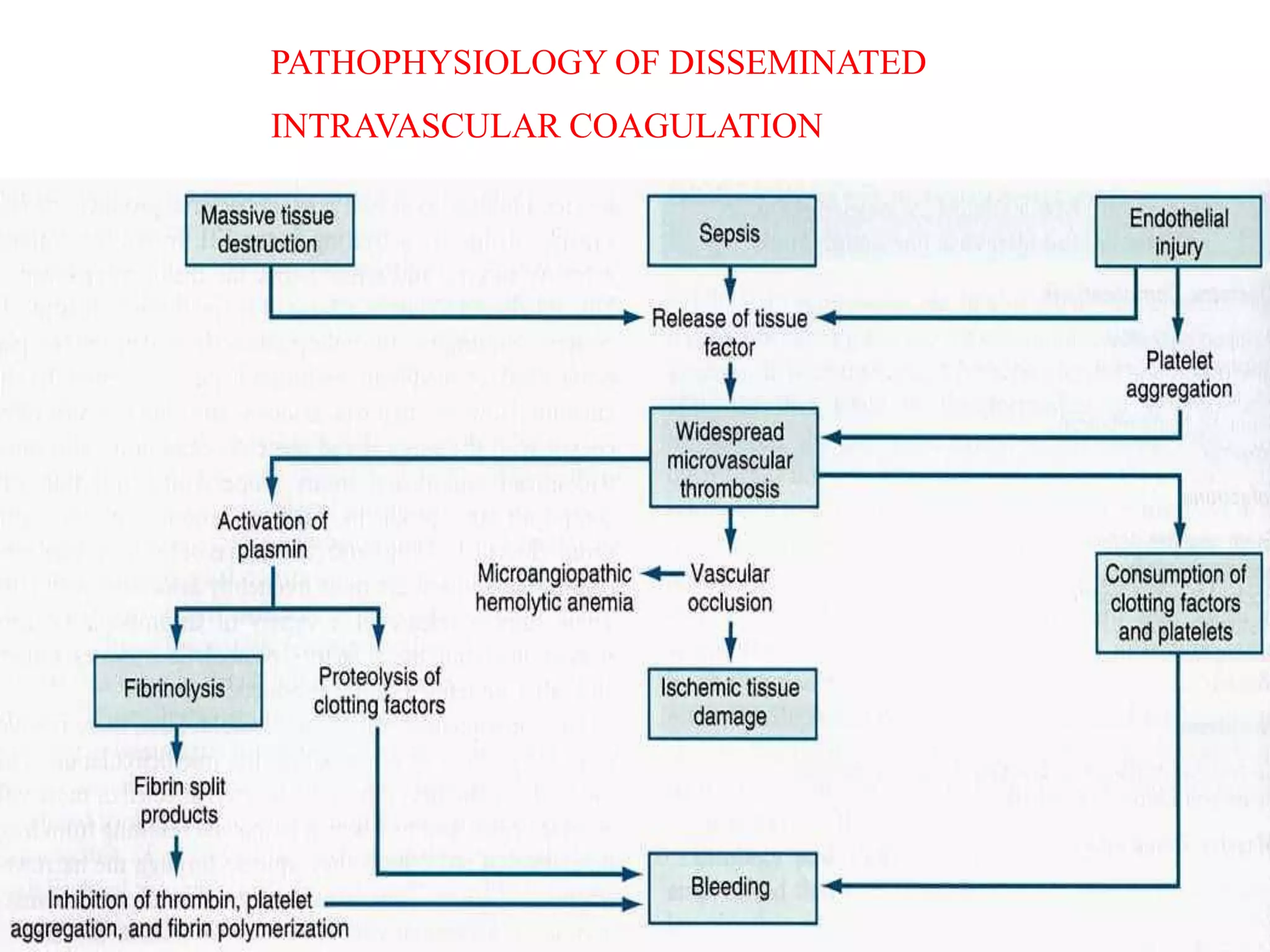 PATHOPHYSIOLOGY OF DISSEMINATED
INTRAVASCULAR COAGULATION
 