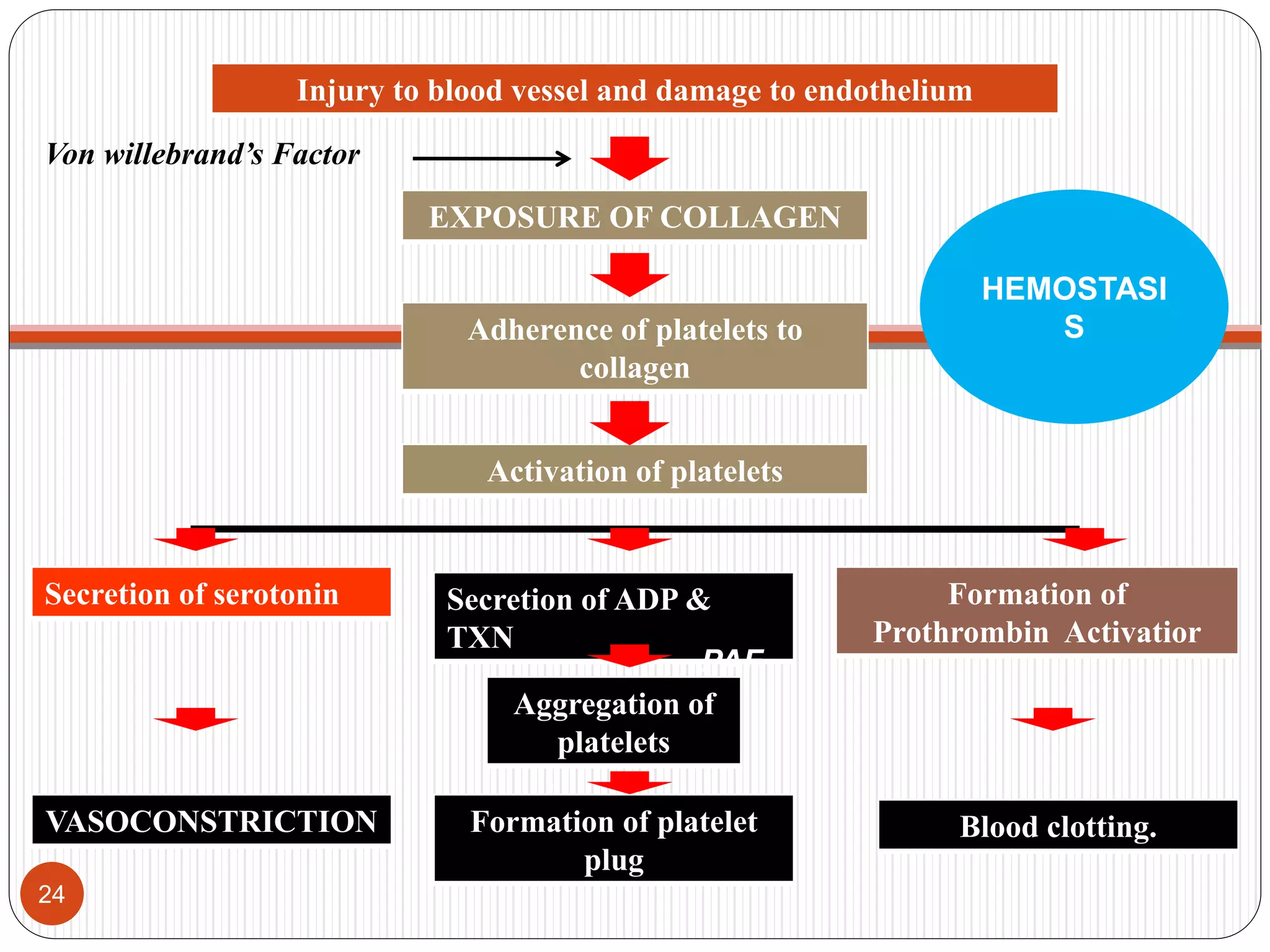 Clotting mechanism | PPTX