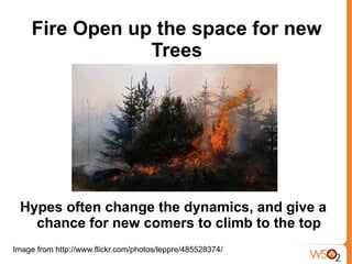 Fire Open up the space for new
                 Trees




 Hypes often change the dynamics, and give a
   chance for new comers to climb to the top
Image from http://www.flickr.com/photos/leppre/485528374/
 