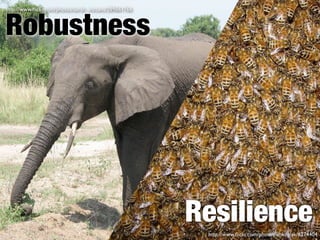 Robustness
http://www.ﬂickr.com/photos/sarah_mccans/289861766




                                                     Resilience
                                                      http://www.ﬂickr.com/photos/kokogiak/6274404
 