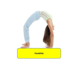 Flexibilité

 