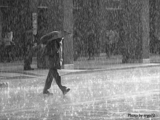 Cloud Computing BP-Study 20090319