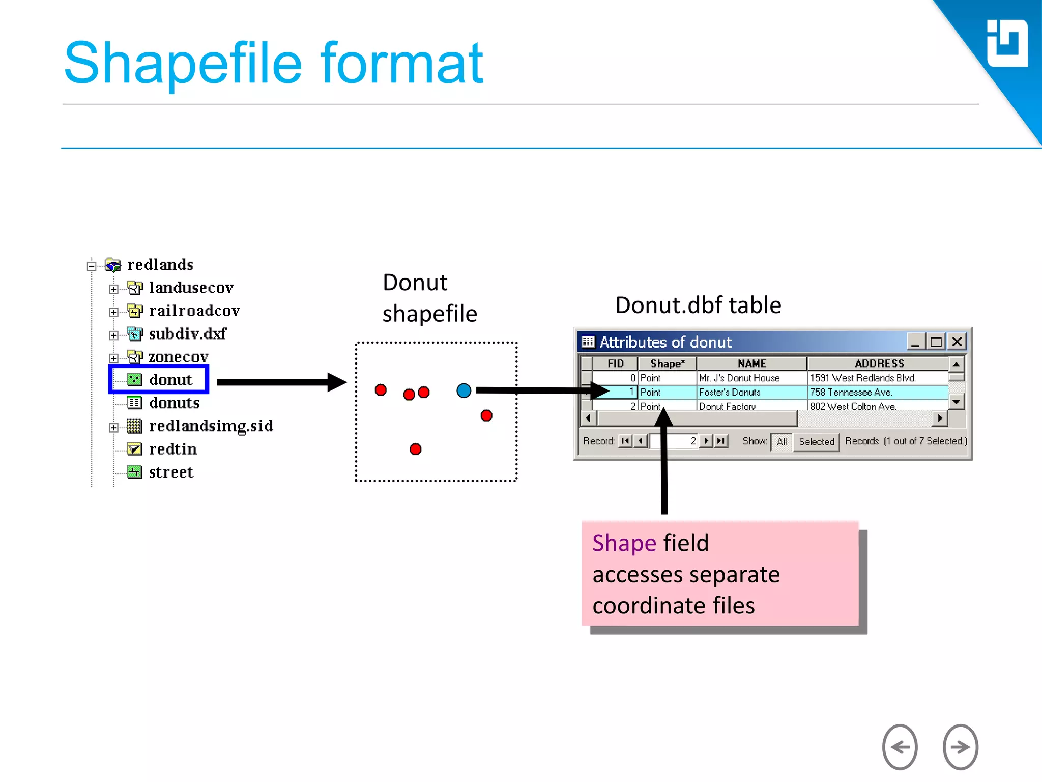 Shapefile format
Donut.dbf table
Shape field
accesses separate
coordinate files
Donut
shapefile
 