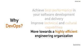 David Schmitz
Why
DevOps?
Achieve best performance in
your software development
and delivery
Improve technical and cultural
capabilities
Move towards a highly efficient
engineering organization
 