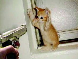 Copyright 2010 Tikal Knowledge, Ltd.   | 181 |
 