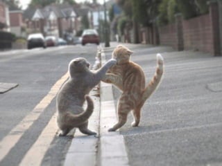 Copyright 2010 Tikal Knowledge, Ltd.   | 198 |
 