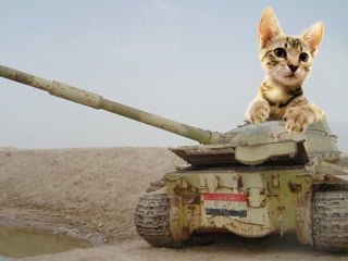 Copyright 2010 Tikal Knowledge, Ltd.   | 200 |
 