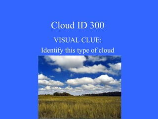 Cloud ID 300 VISUAL CLUE: Identify this type of cloud 
