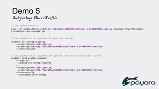 Demo 5
Integrating MicroProfile
// Set system property
java -jar -Dstockticker.url=http://localhost:8081/StockTicker-1.0-SNAPSHOT/rest/sse StockWeb/target/StockWeb-
1.0-SNAPSHOT-microbundle.jar
// Use asadmin to set property in Hazelcast cluster
asadmin> set-config-property
--propertyName=stockticker.url
--propertyValue=http://localhost:8080/StockTicker-1.0-SNAPSHOT/rest/sse
--source=cluster
// Use asadmin to set property for specific instances in Hazelcast cluster
asadmin> send-asadmin-command
--targets=‘*‘
--command=set-config-property
--
--propertyName=stockticker.url
--propertyValue=http://localhost:8080/StockTicker-1.0-SNAPSHOT/rest/sse
--source=config
--sourceName=sever-config
 