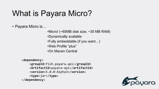 What is Payara Micro?
• Payara Micro is…
•Micro! (~60MB disk size, ~30 MB RAM)
•Dynamically scalable
•Fully embeddable (if you want…)
•Web Profile “plus”
•On Maven Central
<dependency>
<groupId>fish.payara.api</groupId>
<ArtifactId>payara-api</artifactId>
<version>5.0.0-Alpha3</version>
<type>jar</type>
</dependency>
 