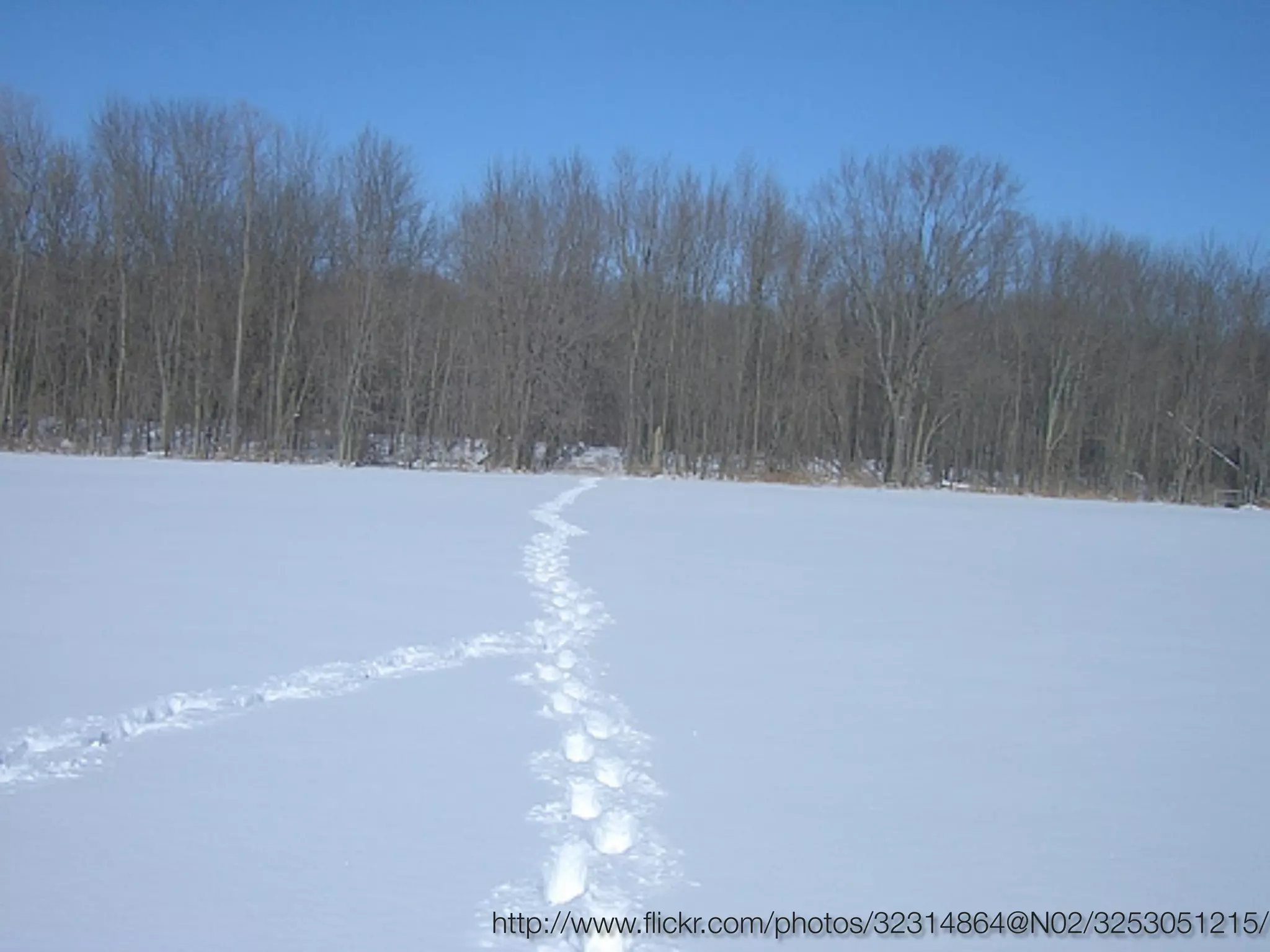 http://www.ﬂickr.com/photos/32314864@N02/3253051215/
 