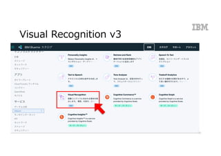 Visual Recognition v3
11
 