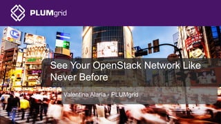 See Your OpenStack Network Like
Never Before
Valentina Alaria - PLUMgrid
 