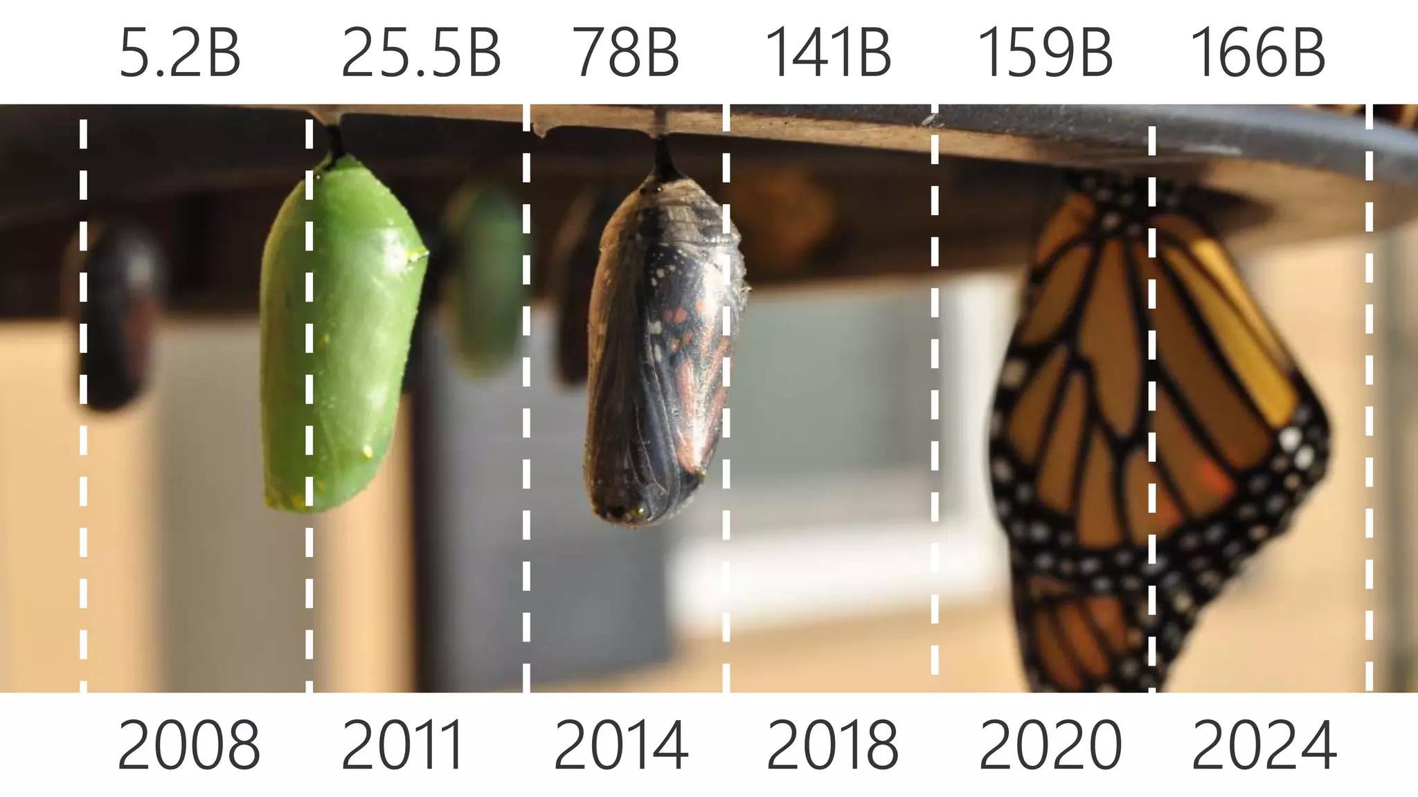 2008 2011 2014 2018 2020 2024
5.2B 25.5B 78B 141B 159B 166B
 