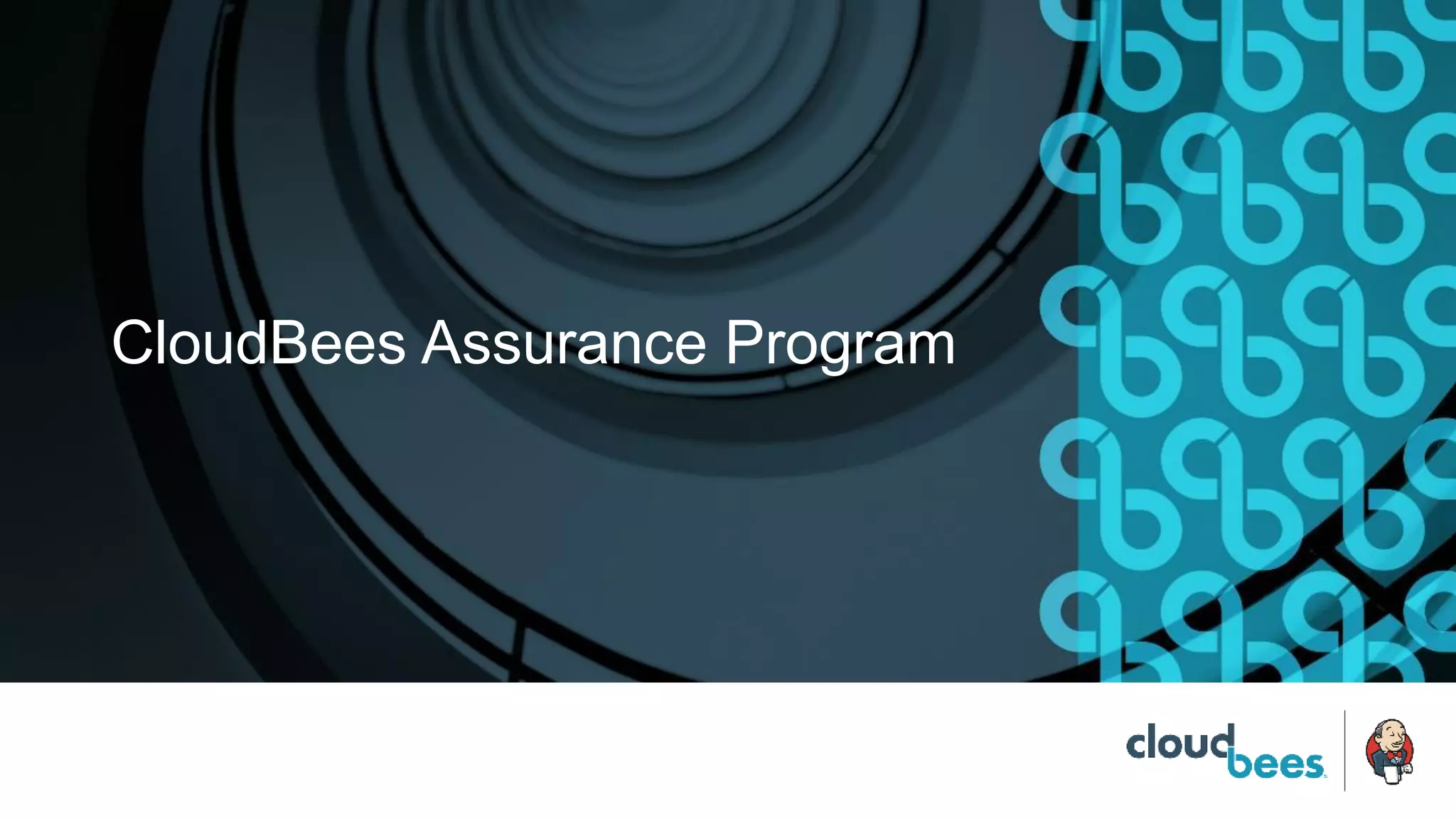 CloudBees Assurance Program
 