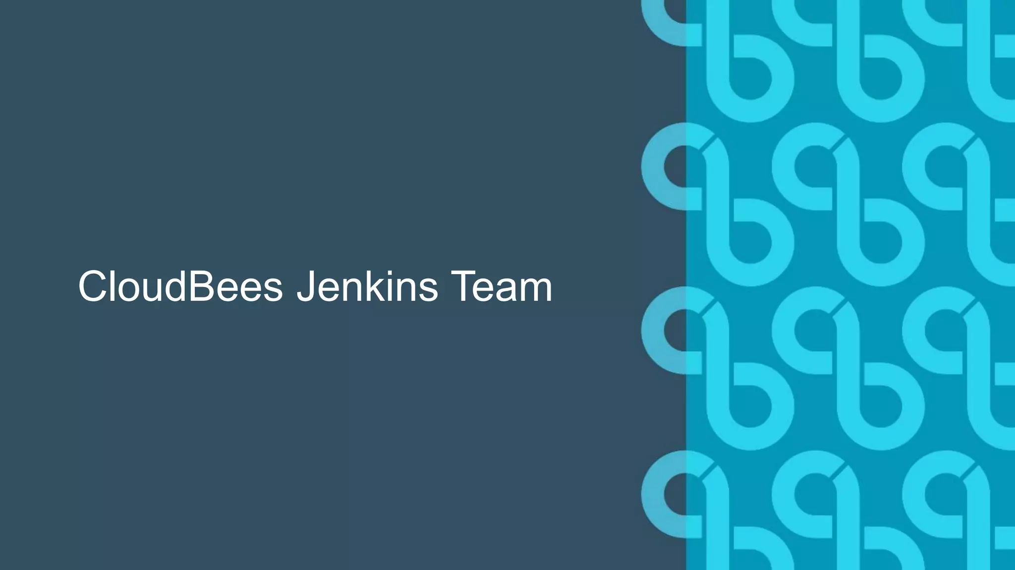 CloudBees Jenkins Team
 