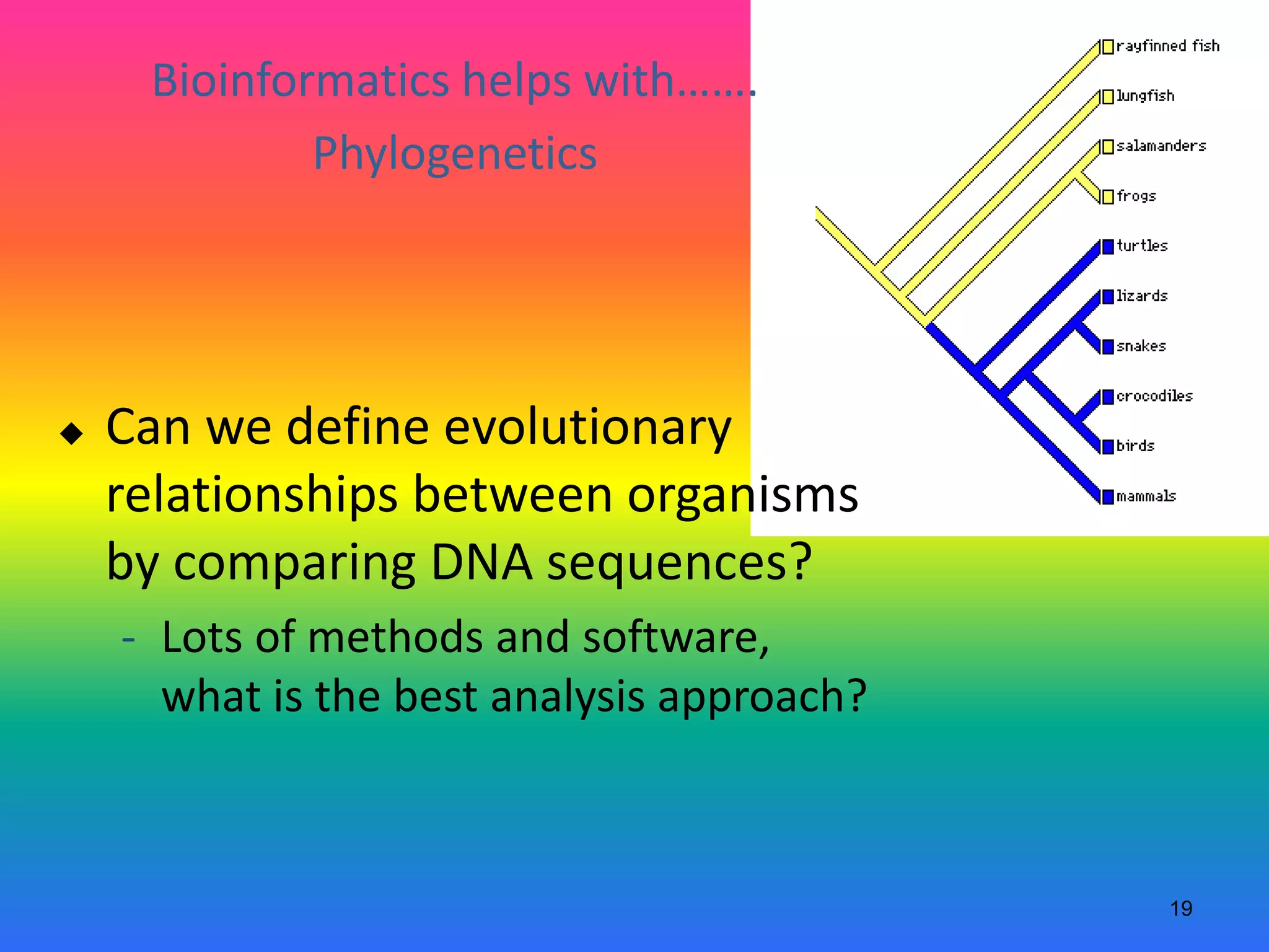 19
 Can we define evolutionary
relationships between organisms
by comparing DNA sequences?
- Lots of methods and software,
what is the best analysis approach?
Bioinformatics helps with…….
Phylogenetics
 