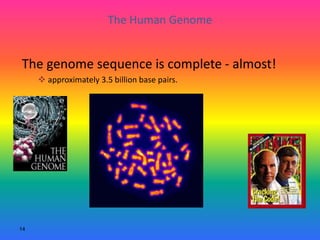 14
The Human Genome
The genome sequence is complete - almost!
 approximately 3.5 billion base pairs.
 