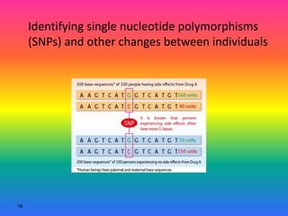 16
Identifying single nucleotide polymorphisms
(SNPs) and other changes between individuals
 