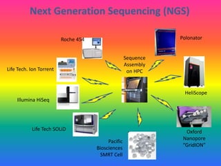 Next Generation Sequencing (NGS)
Sequence
Assembly
on HPC
Roche 454
Life Tech. Ion Torrent
Illumina HiSeq
Life Tech SOLiD Oxford
Nanopore
“GridION”
Polonator
HeliScope
Pacific
Biosciences
SMRT Cell
 