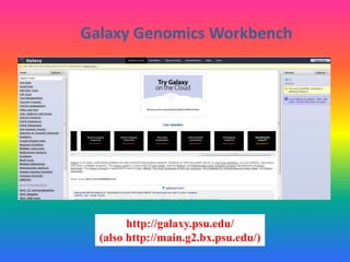 Galaxy Genomics Workbench
http://galaxy.psu.edu/
(also http://main.g2.bx.psu.edu/)
 