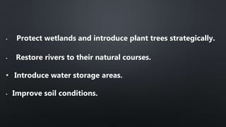 Cloudburst | Disaster Management | PPTX