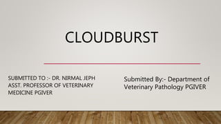 Cloudburst ppt | PPTX