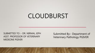 CLOUDBURST
SUBMITTED TO :- DR. NIRMAL JEPH
ASST. PROFESSOR OF VETERINARY
MEDICINE PGIVER
Submitted By:- Department of
Veterinary Pathology PGIVER
 