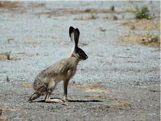 Photo CC by John Shappell
 