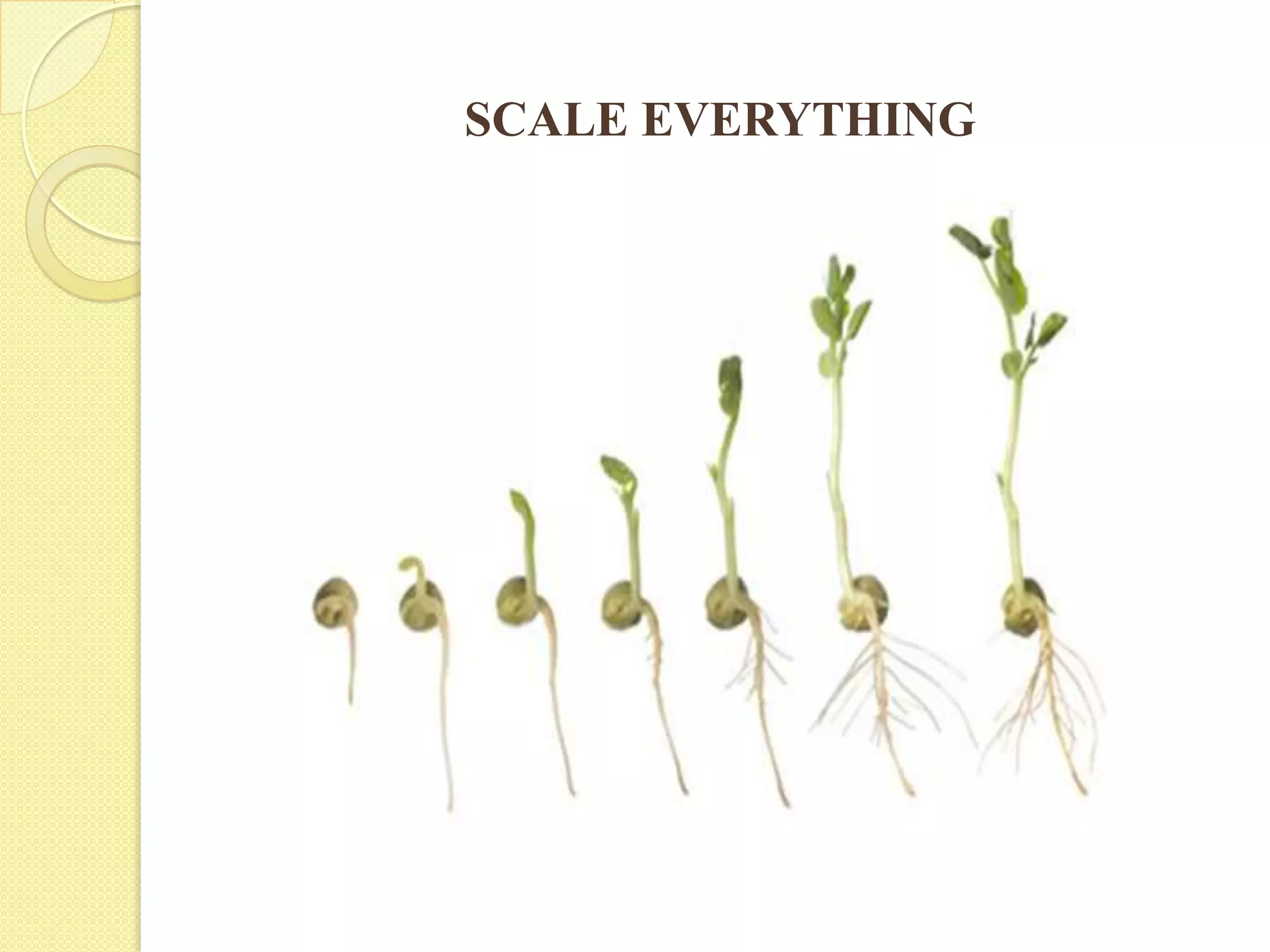 SCALE EVERYTHING
 
