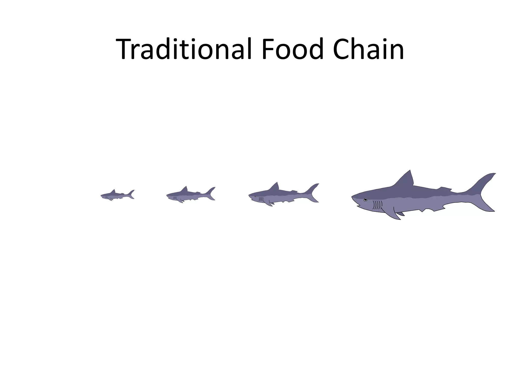 Traditional Food Chain
 