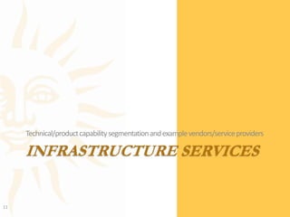 Infrastructure ServicesTechnical/product capability segmentation and example vendors/service providers