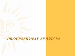Professional Services