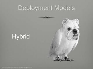 Deployment Models



                    Hybrid



http://www.coolfunnycomments.com/funnypictures/dogs_041.html
 