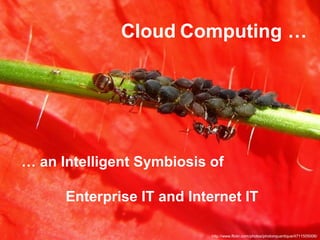 Cloud Computing …




… an Intelligent Symbiosis of

      Enterprise IT and Internet IT

                           http://www.flickr.com/photos/photonquantique/4711505006/
 