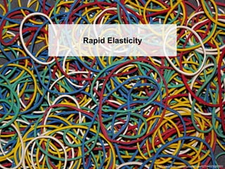 Rapid Elasticity




                   http://www.flickr.com/photos/macke827/4437926761/
 