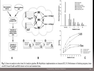 Prepared by: Jitendra S Rathore

33

 