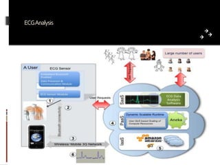 ECGAnalysis

Prepared by: Jitendra S Rathore

31

 