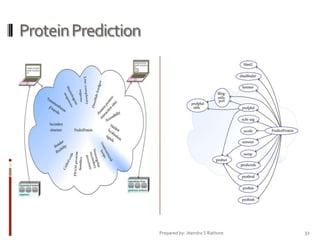 Protein Prediction

Prepared by: Jitendra S Rathore

32

 