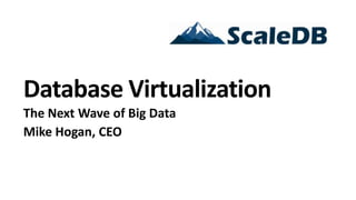 Database Virtualization
The Next Wave of Big Data
Mike Hogan, CEO
 