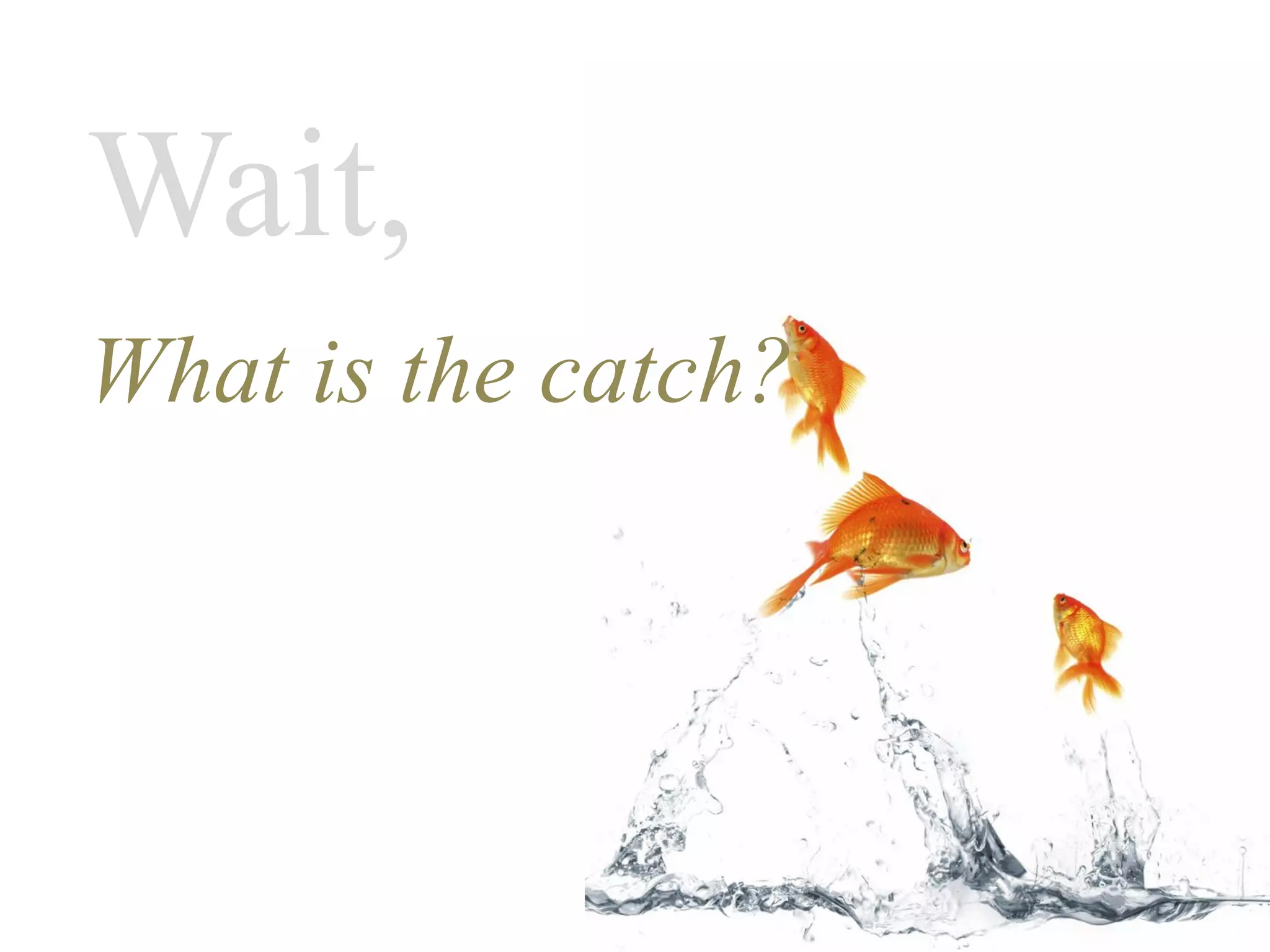 Wait,
What is the catch?
 