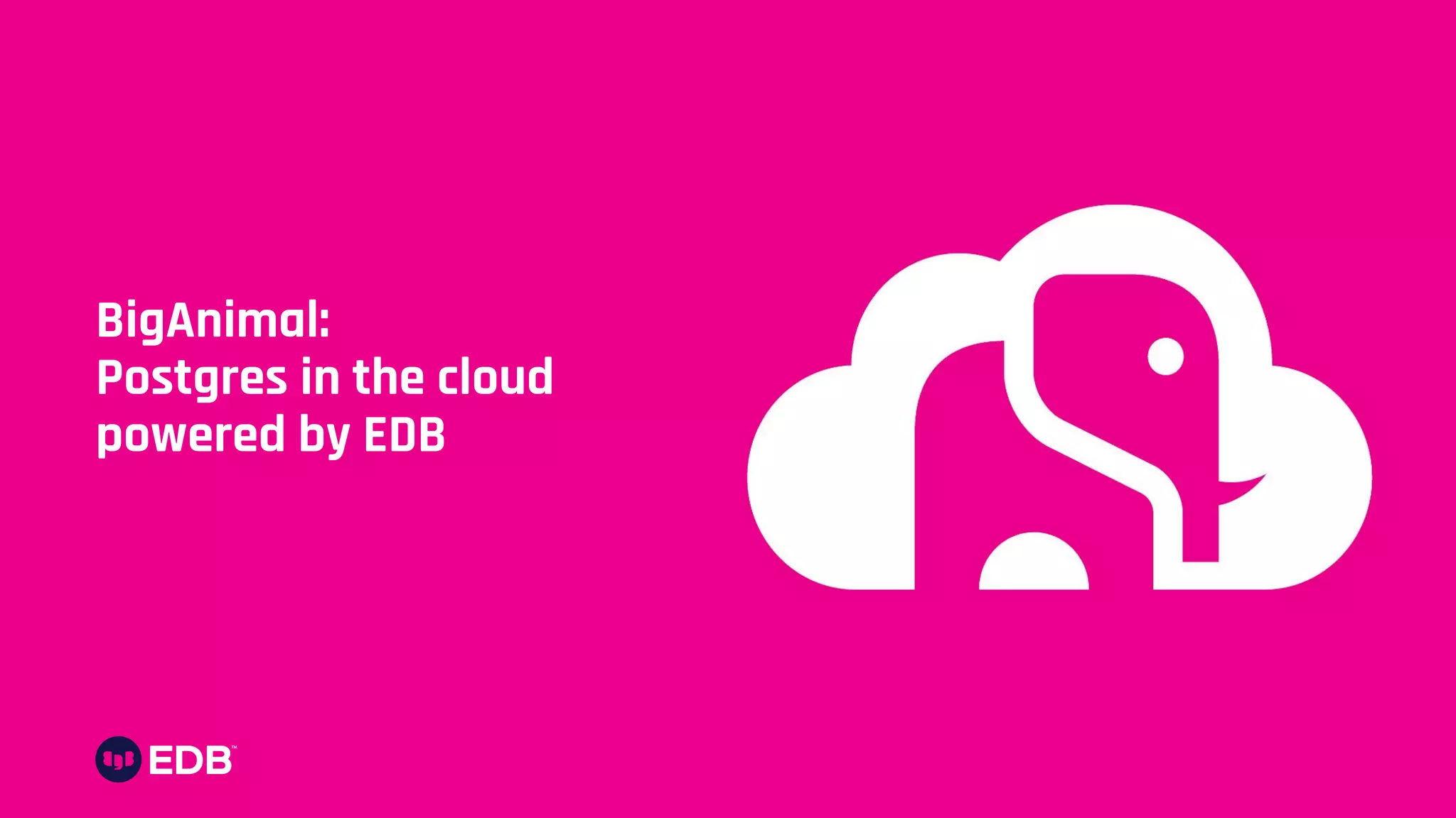 BigAnimal:
Postgres in the cloud
powered by EDB
 