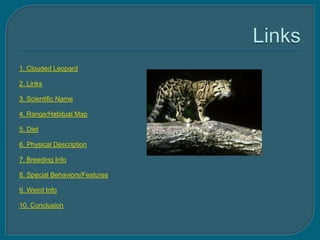1. Clouded Leopard

2. Links

3. Scientific Name

4. Range/Habitual Map

5. Diet

6. Physical Description

7. Breeding Info

8. Special Behaviors/Features

9. Weird Info

10. Conclusion
 