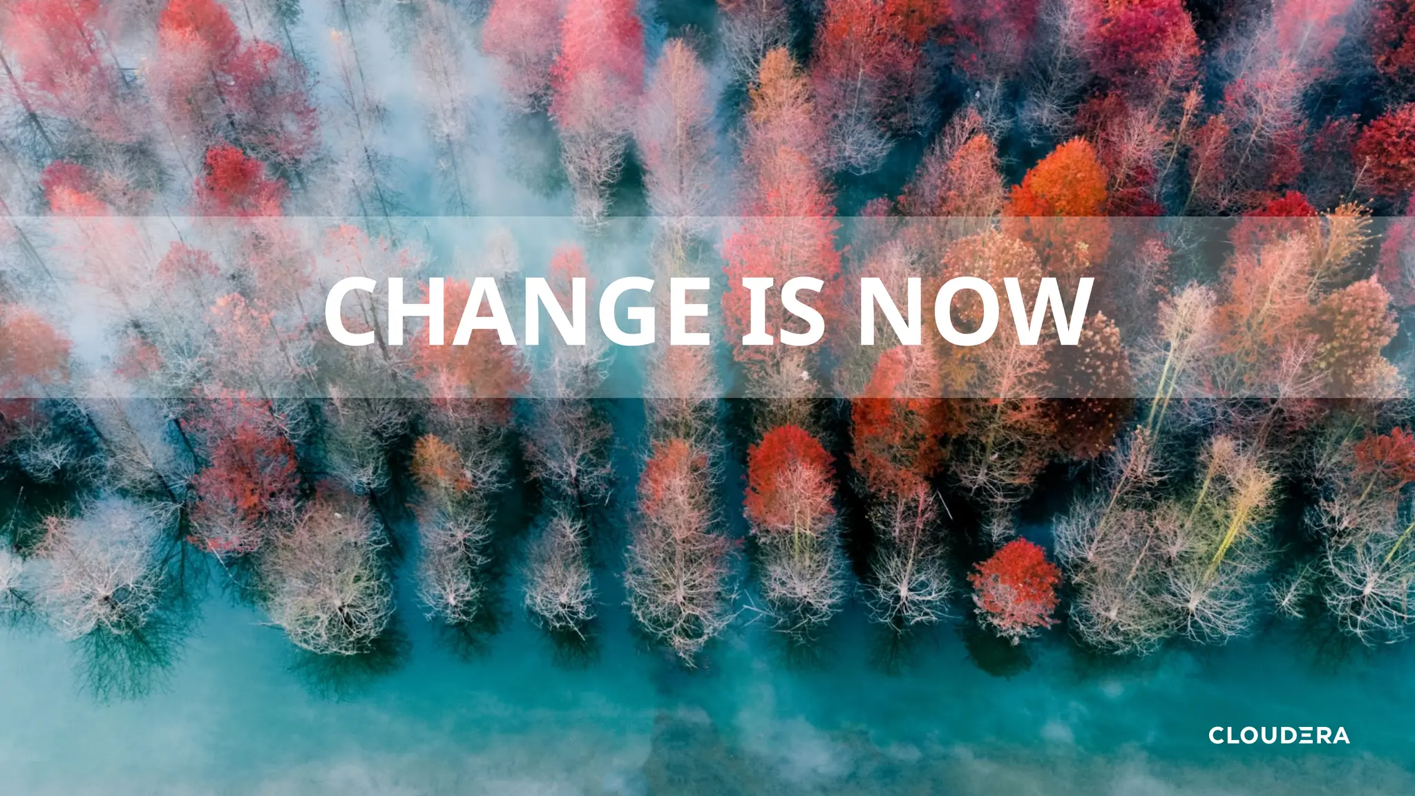 CHANGE IS NOW
 