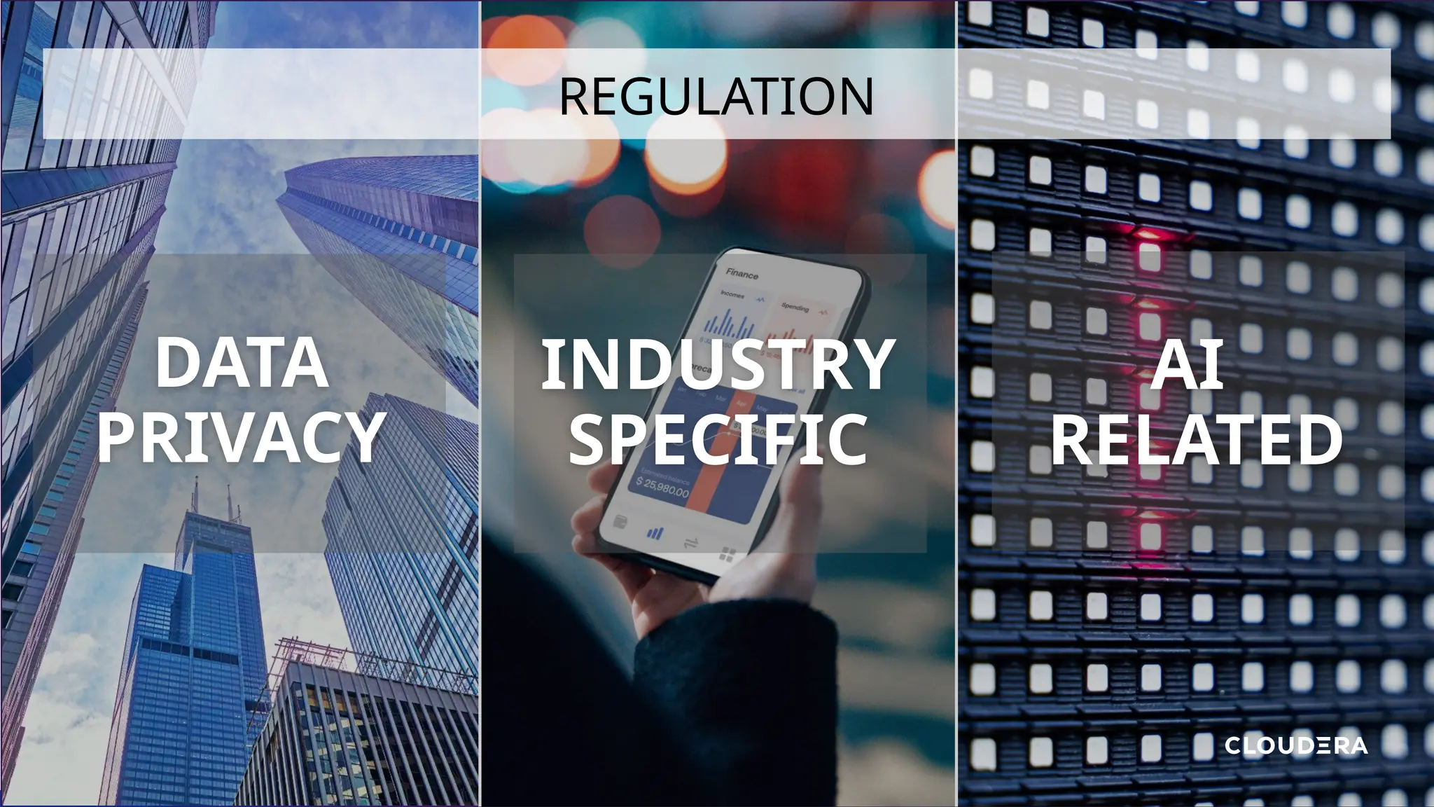 REGULATION
DATA
PRIVACY
INDUSTRY
SPECIFIC
AI
RELATED
 