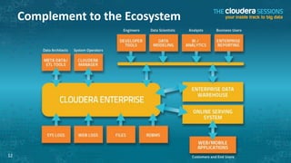 Complement to the Ecosystem




12
 