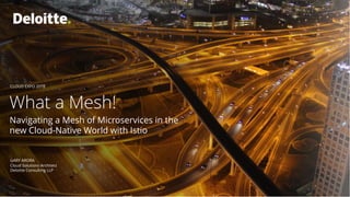 GARY ARORA
Cloud Solutions Architect
Deloitte Consulting LLP
What a Mesh!
Navigating a Mesh of Microservices in the
new Cloud-Native World with Istio
CLOUD EXPO 2018
 